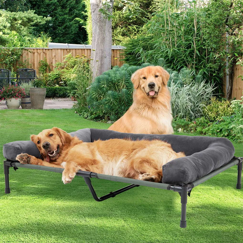 BINGOPAW Verhoogd hondenbed, g - Outdoor Camping Dog Bed recensie en prijs