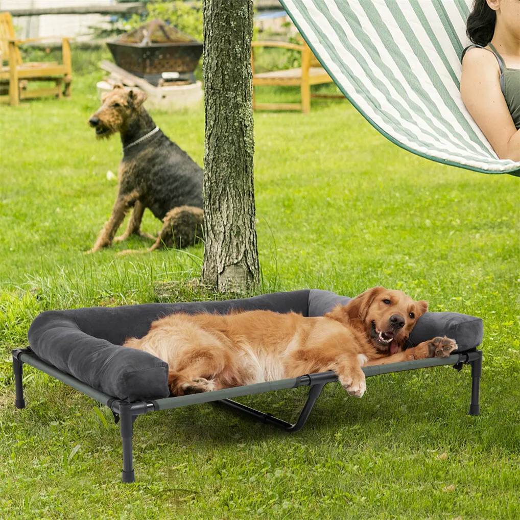 BINGOPAW Verhoogd hondenbed, g - Outdoor Camping Dog Bed recensie en prijs